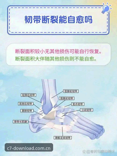 施洛特贝克韧带撕裂详解：世界杯伤退背后的损失与反思